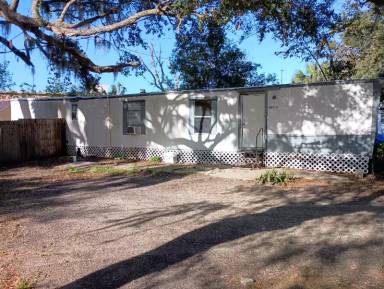 Main picture of 1017 June Ter