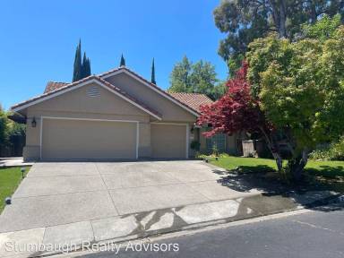 Main picture of 206 Grey Wolf Dr
