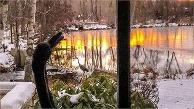 Main picture of 996 E Riverpark Ln