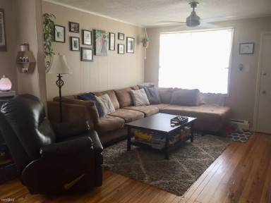 Main picture of 539 Morgan St