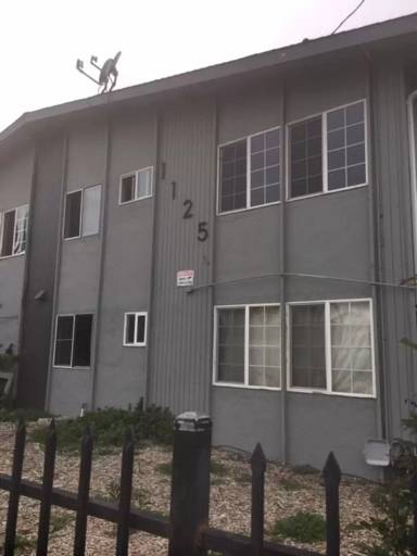 Main picture of 1125 Lacey Ln
