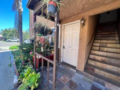 Main picture of Illinois - La Paloma