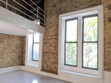 Main picture of 1823 S Halsted St