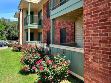 Main picture of Hidden Timber Apartments