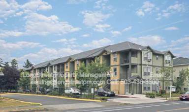 Main picture of Saga Apartments