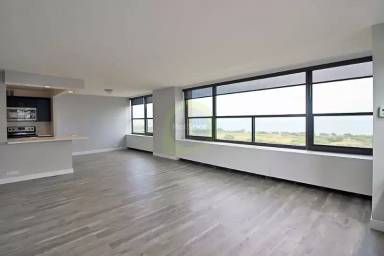 Main picture of 1108 S Michigan Ave