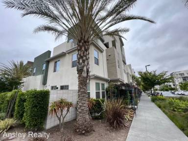 Main picture of 2026 Tango Loop