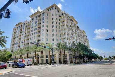 Main picture of CITY PALMS