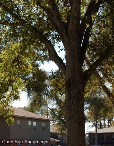Main picture of Carol Sue Apartments