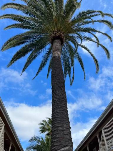 Main picture of Astro Vista Apartments