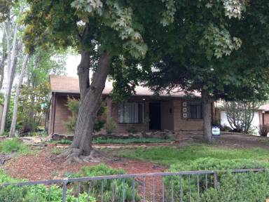 Main picture of 1120 Olive St