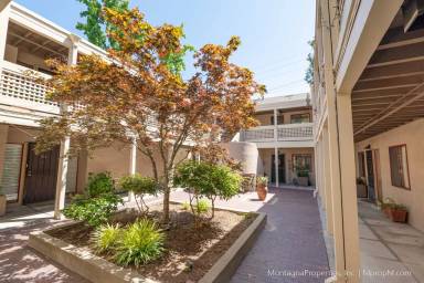Main picture of 439 Alberto Way