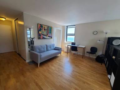 Main picture of 253 E Delaware Condos
