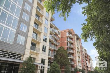 Main picture of Camden Rainey Street