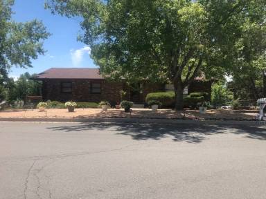 Main picture of 1613 Columbine Pl