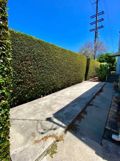 Main picture of 133 Juana Maria Ave