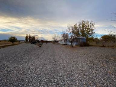 Main picture of 45 Muskrat Ln