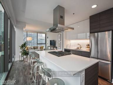 Main picture of 210 W Kinzie St