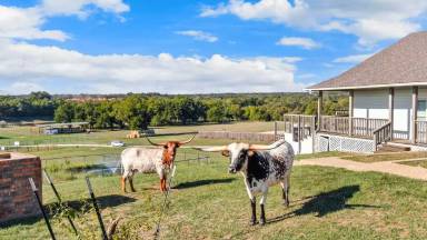 Main picture of 7128 County Road 319
