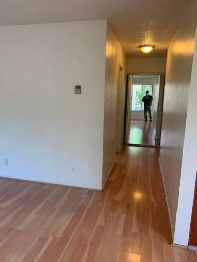 Main picture of 733 Jean St