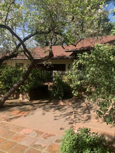 Main picture of 1293 S La Luna Ave