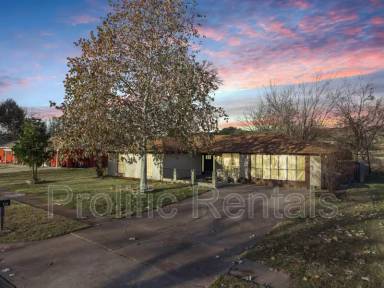 Main picture of 610 Creek St