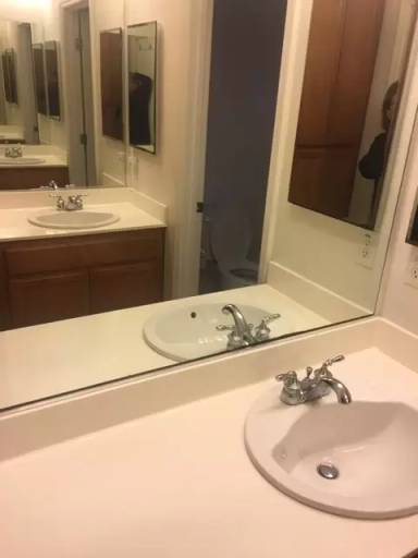 Main picture of 1955 Bright Willow Cir