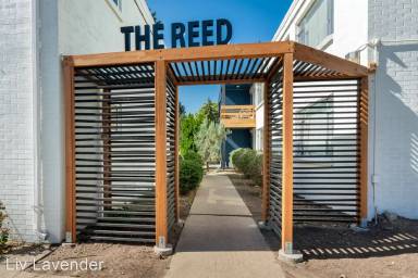 Main picture of The Reed