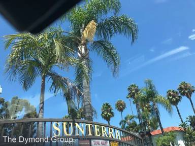 Main picture of SunTerra