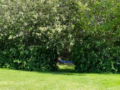 Main picture of 15 Buck Run Ln