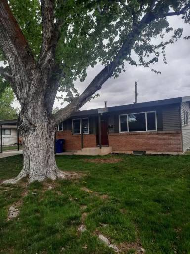 Main picture of 1135 Phelps Cir