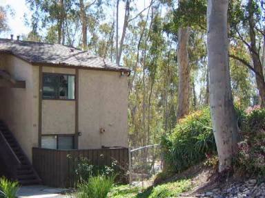 Main picture of 10303 Caminito Aralia