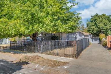 Main picture of 239 Redwood Ave