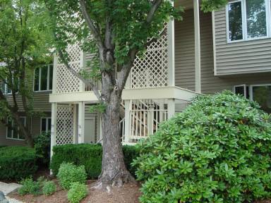 Main picture of 34 Augusta Dr
