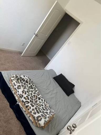 Main picture of 1001 Liberty Meadows Dr