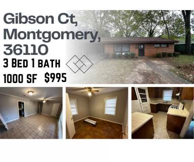 Main picture of 1816 Gibson Ct