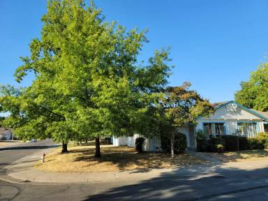 Main picture of 5665 Harold Way