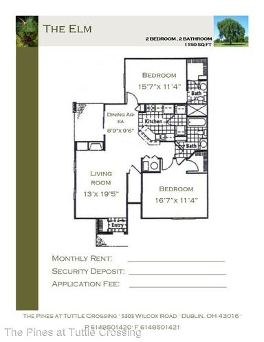 Main picture of The Pines At Tuttle Crossing