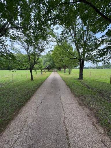 Main picture of 3869 FM 1249 E