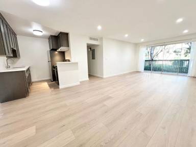 Main picture of 527 N Bellflower Blvd