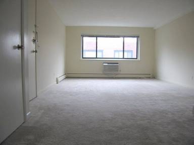 Main picture of 375 Harvard St