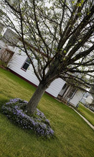 Main picture of 602 Kansas St