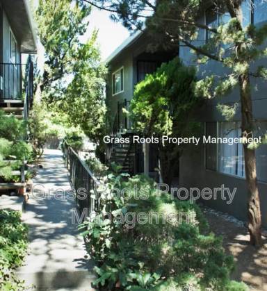 Main picture of 256 Racetrack St