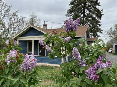 Main picture of 5509 W Mississippi Ave