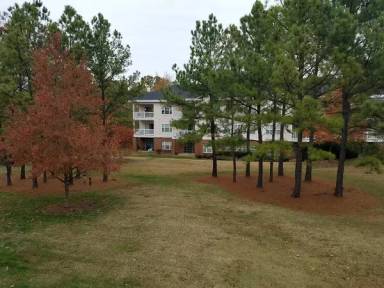 Main picture of 9113 Meadow Vista Rd