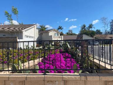 Main picture of 27774 Ruisenor