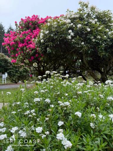 Main picture of Boiler Bay RV Park