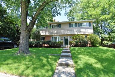 Main picture of 305 Hillsboro Dr