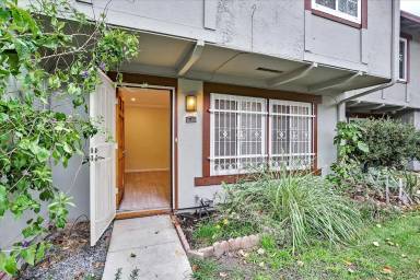 Main picture of 2138 Amstel Ct