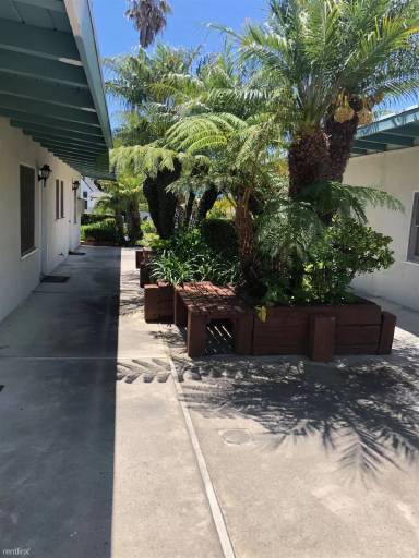 Main picture of 1604 Calle Las Bolas